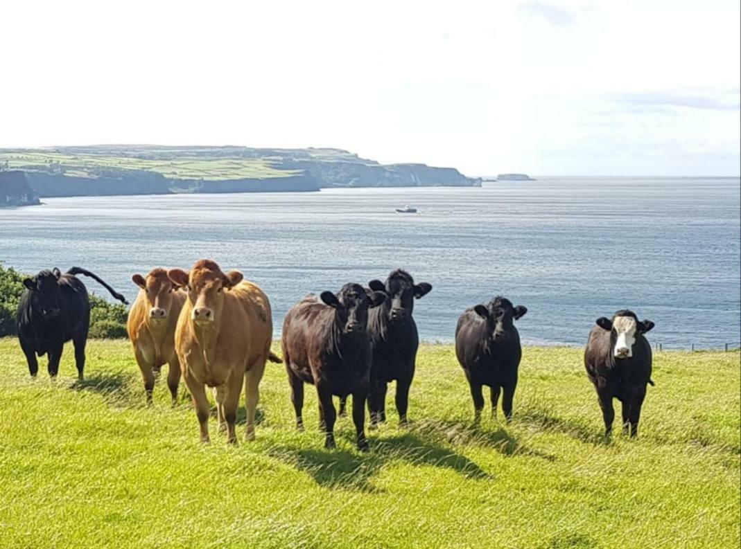 Tornabodagh House Ballycastle Zewnętrze zdjęcie